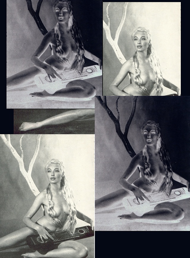 Lili St. Cyr 9