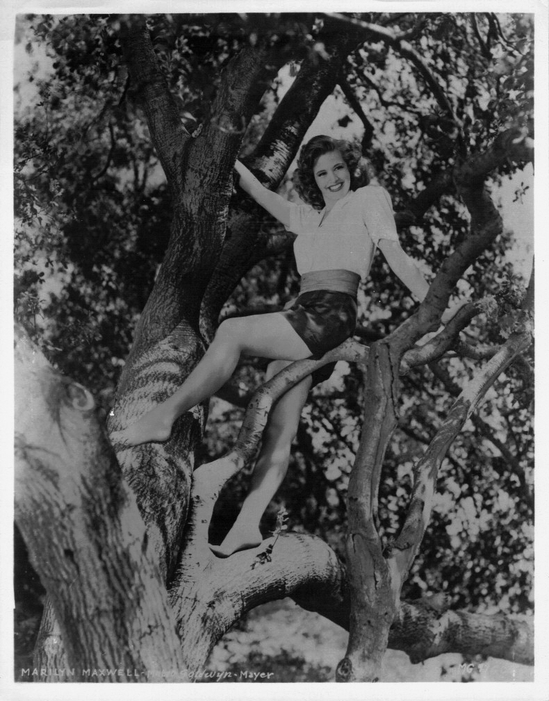 Marilyn Maxwell 9