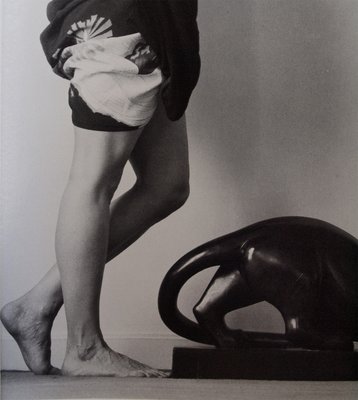 Lisa Lyon 9
