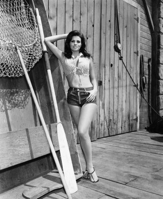 Raquel Welch 5