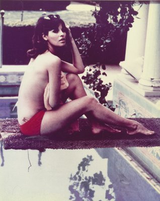 Raquel Welch 12